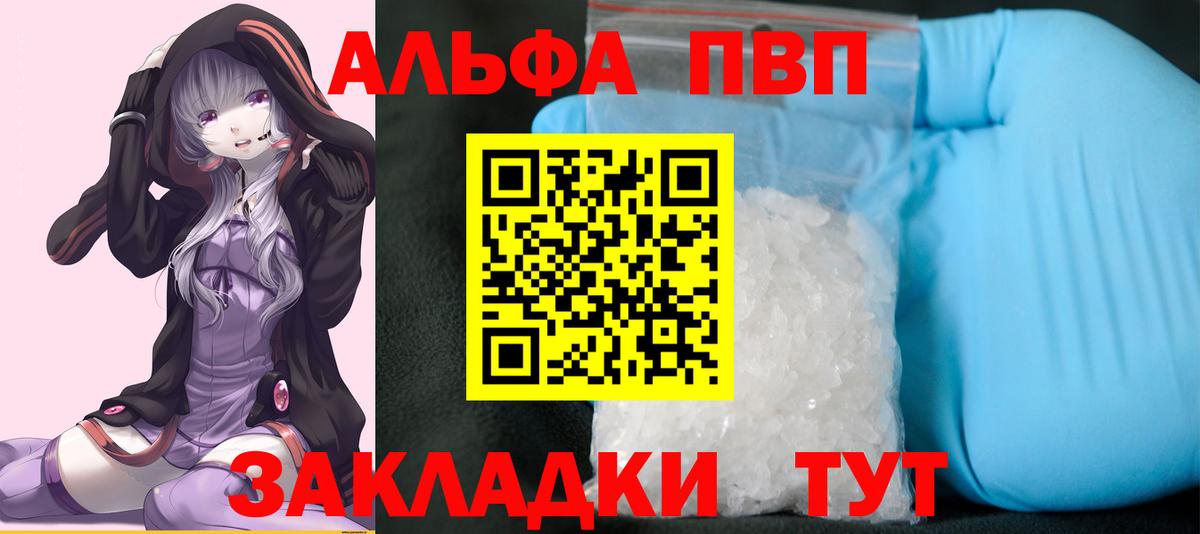 A PVP СК КРИС Мыски