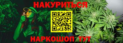 гашик Жуковский
