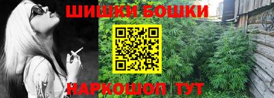 гашик Жуковский