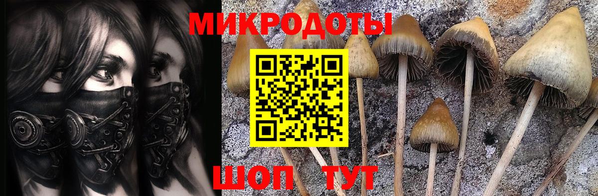 где найти   Псилоцибиновые грибы мицелий  Вход с VPN  Мыски  Псилоцибиновые грибы мицелий 